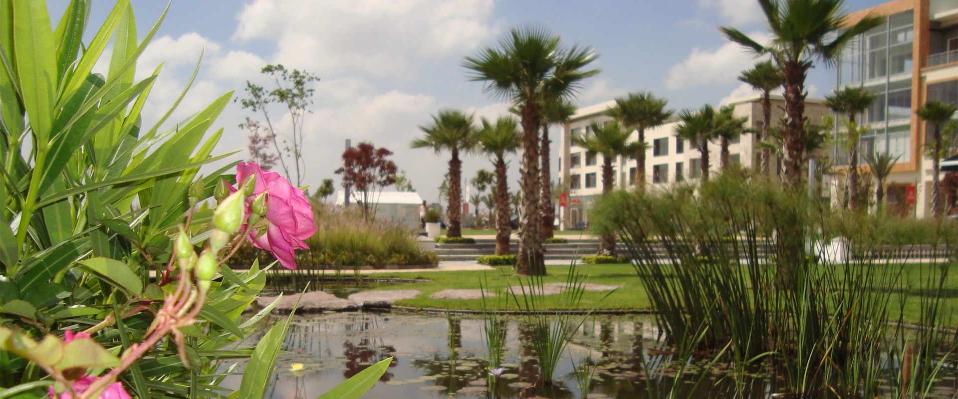 Town Center Sonata (5)